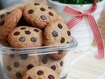 �ɿ������ջ����������