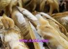 �Οh���ӵ�����
